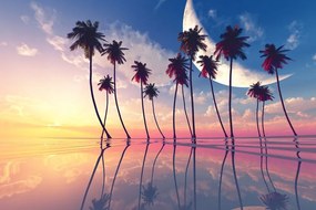 Tapeta západ slnka nad tropickými palmami - 225x150