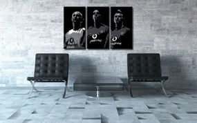 Ručne maľovaný POP Art obraz Manchester United 3 dielny  manu