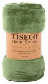 Zelená prikrývka z mikroplyšu na dvojlôžko 220x240 cm Cosy - Tiseco Home Studio