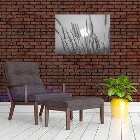 Sklenený obraz - Lúka pri západe slnka (70x50 cm)