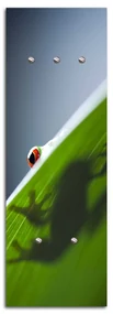 Gario Vešiak na stenu Žaba na liste Rozmery: 30 x 90 cm
