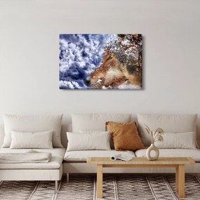 Obraz vlka (90x60 cm)