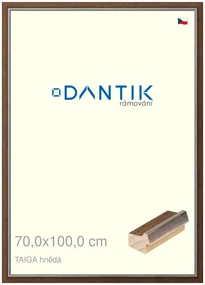 DANTIK rám na obraz 70x100 | TAIGA hnědá (Plexi Čiré)