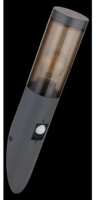 Globo 3157SAS- Vonkajšie nástenné svietidlo so senzorom BOSTON 1xE27/60W/230V IP44