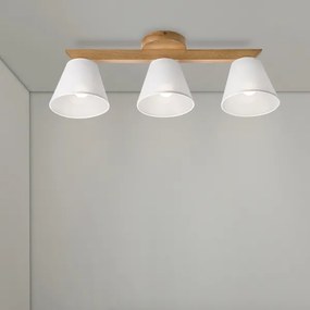Brilagi - LED  Prisadený luster ANTHONY 3xE14/40W/230V dub/biela