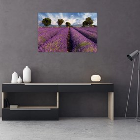 Obraz - Levanduľové pole a hory (90x60 cm)