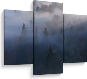 Obraz - Les v hmle, Karpaty, Ukrajina (90x60 cm)