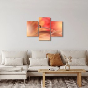 Obraz kvetinové kvapky rosy (90x60 cm)