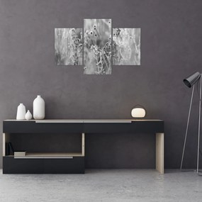 Obraz - Divoká lúka (90x60 cm)