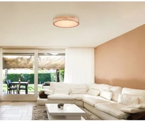 Globo 41745-24 - LED Stmievateľné stropné svietidlo RAINER LED/24W/230V + DO