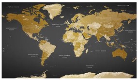 FototapetaXL - Mapa sveta: Farebná geografia III 500x280 + zadarmo lepidlo