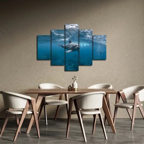 Obraz - Delfín pod hladinou (150x105 cm)