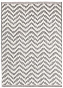 NORTHRUGS - Hanse Home koberce Kusový koberec Twin Supreme 103432 Palma grey creme – na von aj na doma - 120x170 cm