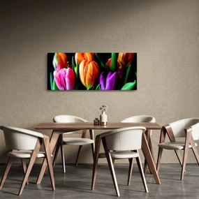 Obraz tulipánov na čiernom pozadí (120x50 cm)