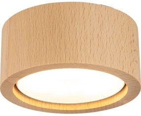 Bodové svietidlo EVE 1xGX53/11W/230V buk