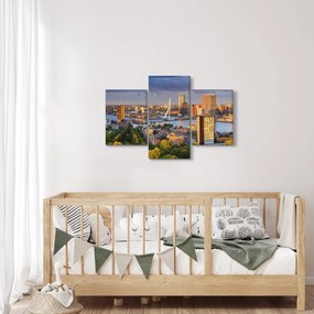 Obraz - Panorama Rotterdamu, Holandsko (90x60 cm)