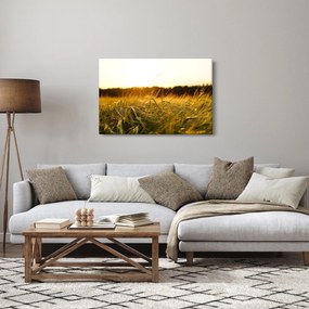 Obraz orosenej trávy (90x60 cm)