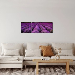 Obraz - Levanduľové pole (s hodinami) (90x30 cm)