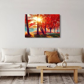 Obraz - Jesenná krajina (90x60 cm)