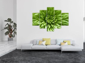 Obraz - Makro snímka rastliny (150x105 cm)