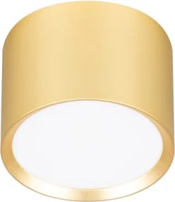 BRILAGI - LED RGB stmievateľné bodové svietidlo SMOOTH 1xGX53/14W/230V 60x82 mm Wi-Fi Tuya zlatá