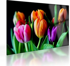 Sklenený obraz tulipánov na čiernom pozadí (70x50 cm)