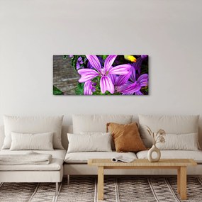 Obraz - lúčne kvety (120x50 cm)