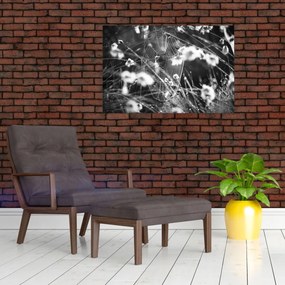 Obraz - Pavučina na lúke (90x60 cm)