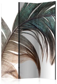 Artgeist Paraván - Beautiful Feather [Room Dividers]