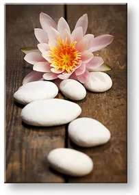 Obraz na plátne FENG SHUI_059-11 | rôzne rozmery