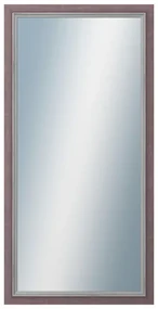 DANTIK - Zrkadlo v rámu, rozmer s rámom 60x120 cm z lišty AMALFI fialová (3117)