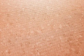 PVC podlaha TITANIUM TERRA