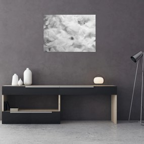 Obraz - Oblaky perie (70x50 cm)