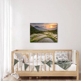 Obraz - Ryžové terasy (70x50 cm)