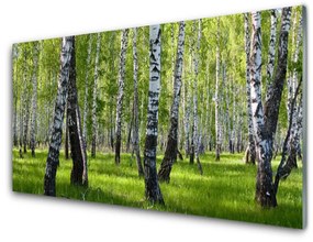 Obraz na akrylátovom skle Les príroda 125x50 cm