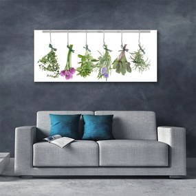 Obraz plexi Plátky rastlina kuchyňa 125x50 cm
