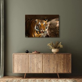 Obraz tigra (90x60 cm)