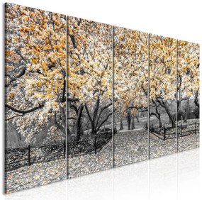 Artgeist Obraz - Magnolia Park (5 Parts) Narrow Orange Veľkosť: 225x90, Verzia: Premium Print