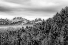 Fototapeta čiernobiele zamrznuté hory - 300x200