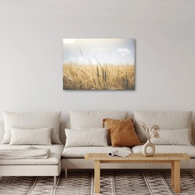 Obraz obilia (70x50 cm)