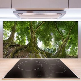 Sklenený obklad Do kuchyne Stromy rastlina príroda 125x50 cm