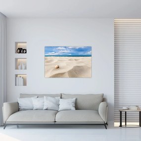 Obraz - Mušle na pláži (90x60 cm)