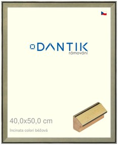 DANTIK rám na obraz 40x50 | INCLINATA colori béžová (Sklo Čiré)