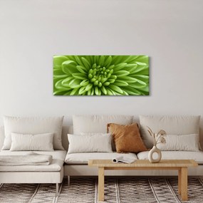 Obraz - Makro snímka rastliny (120x50 cm)