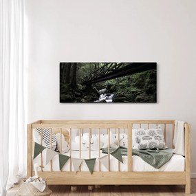 Obraz z čierneho lesa (120x50 cm)