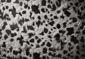 Fototapeta - Škvrnitá srsť (147x102 cm)