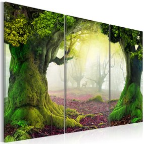 Artgeist Obraz - Mysterious forest - triptych Veľkosť: 60x40, Verzia: Premium Print