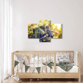 Obraz sovy na strome (90x60 cm)