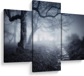 Obraz - Cesta v hmle (90x60 cm)