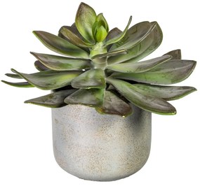 Gasper Umelý kvet Echeveria XL